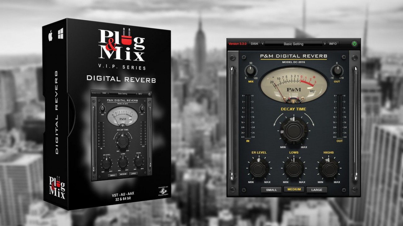 Digital Reverb Plug And Mix